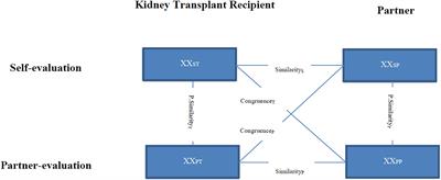 Dyadic Coping of Kidney Transplant Recipients and Their Partners: Sex and Role Differences